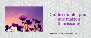 Guide complet pour une maison fleurissante