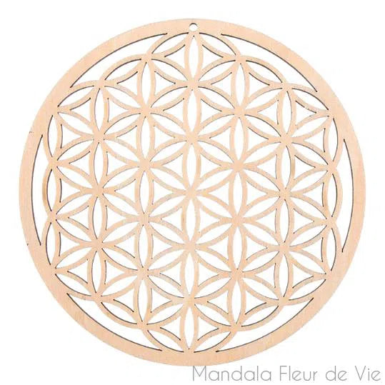 Fleur de Vie en Bois Dynamisante