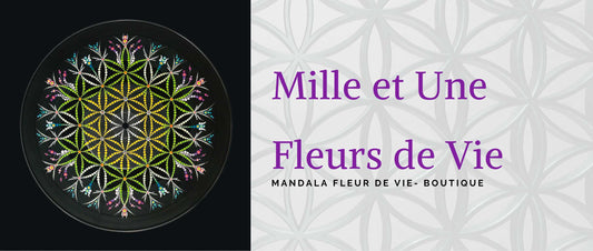 Fleurs de vie