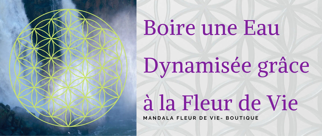 Boire une eau dynamisée grâce à la Fleur de vie - Mandala Fleur de vie