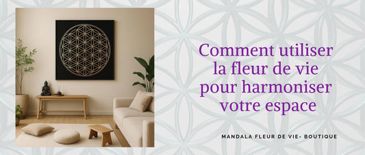 Fleur de vie tableau