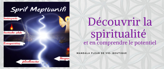 Découvrir la spiritualité et en comprendre tout le potentiel - Mandala Fleur de vie