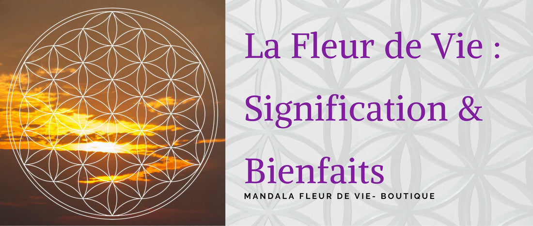 fleur de vie signification