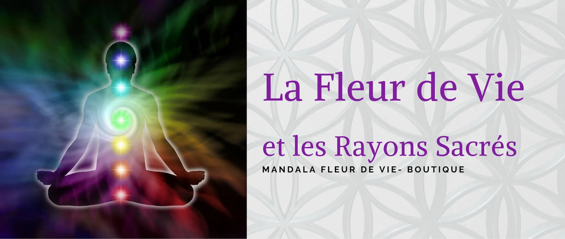 La Fleur de Vie et les Rayons Sacrés - Mandala Fleur de vie