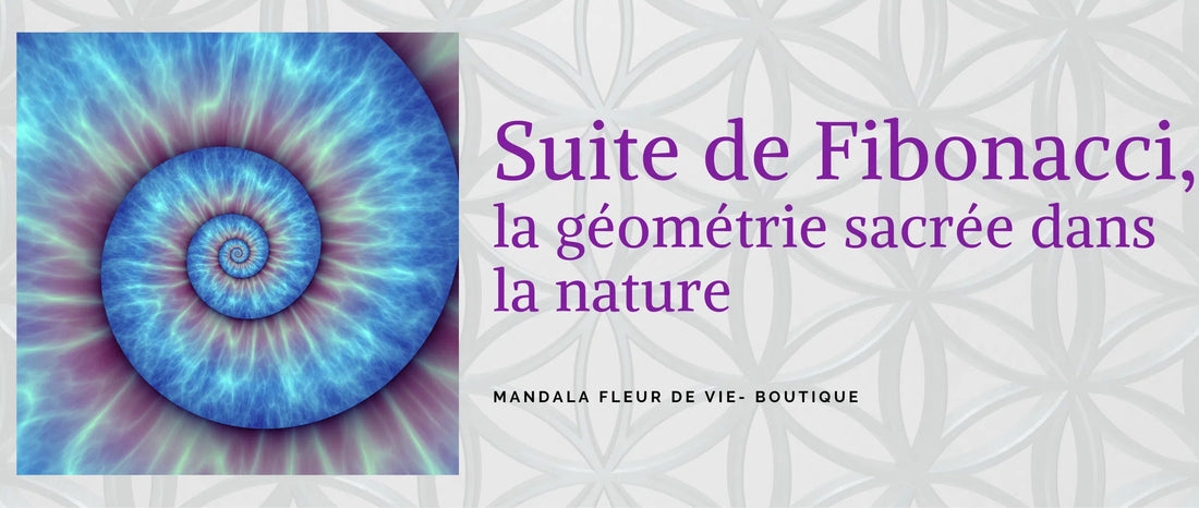 Suite Fibonacci : la géométrie sacrée dans la nature - Mandala Fleur de vie