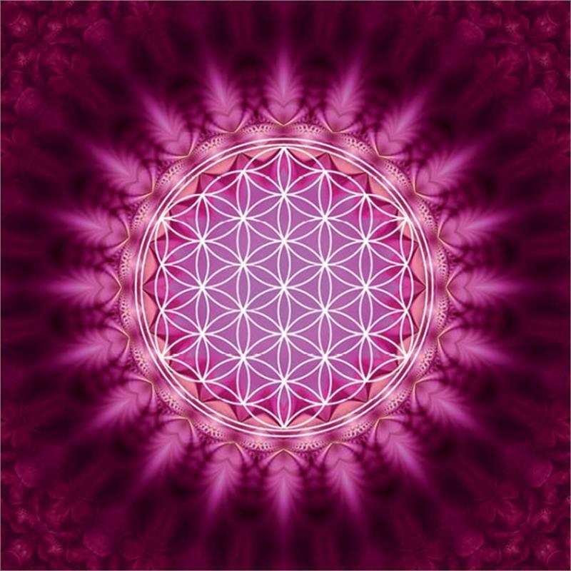 carte fleur de vie