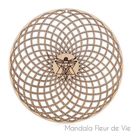 Fleur de Vie en Bois<br> Tore "L'Homme de Vitruve" - Mandala Fleur de vie