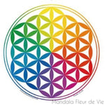 Sticker Fleur de Vie Rainbow