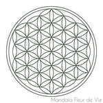 Carafe Fleur de Vie <br>Alladin Platine -1.3L Mandala Fleur de vie