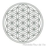 Carafe Fleur de Vie <br>Alladin Platine -1.3L Mandala Fleur de vie
